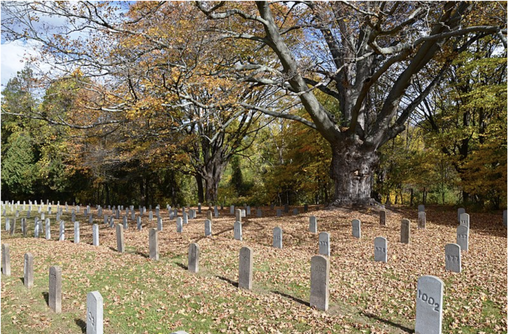 A picture of the Connecticut Valley Hospital Cemetery in Middletown, CT. Graves sit in several rows, each one marked with only a number. It is a beautiful fall day outside, with colorful leaves on the trees and on the ground. 